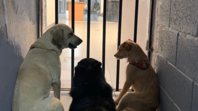 x2