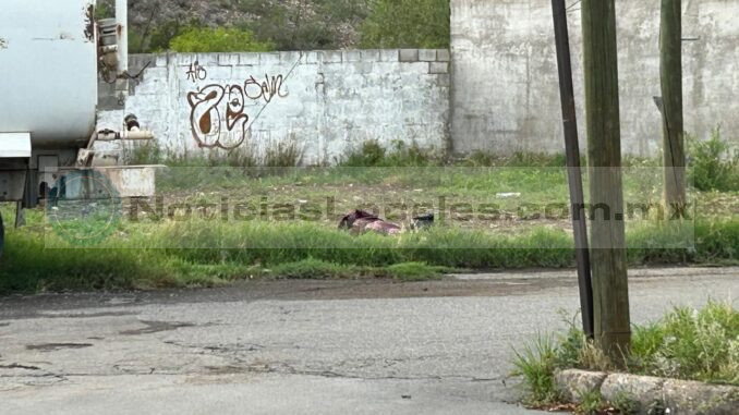 z1