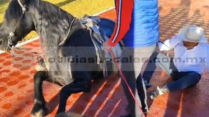 caballo2