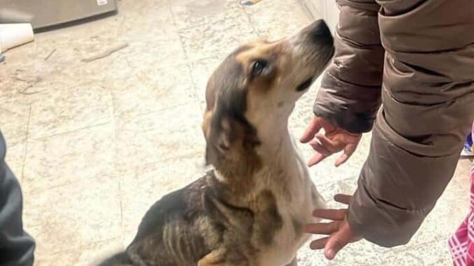 WhatsApp Image 2026-01-19 at 6.30.25 PM (1)